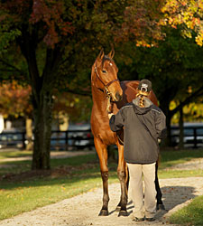F-T Fall Sale Gets Off to a Soaring Start F-T Fall Sale Gets Off to a Soaring Start