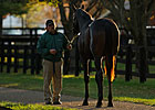 F-T Fall Yearling Sale Keeps on Truckin' F-T Fall Yearling Sale Keeps on Truckin'
