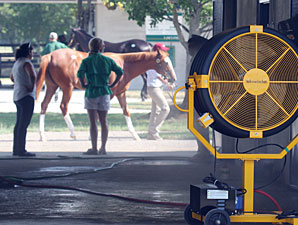 Sellers Try to Help Horses Beat Heat at F-T Sellers Try to Help Horses Beat Heat at F-T