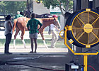 Sellers Try to Help Horses Beat Heat at F-T Sellers Try to Help Horses Beat Heat at F-T