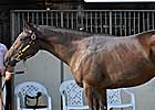 Double-Digit Increases on Day Two of Midlantic Sale