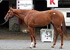 Numbers Soar at Fasig-Tipton Midlantic Sale Numbers Soar at Fasig-Tipton Midlantic Sale