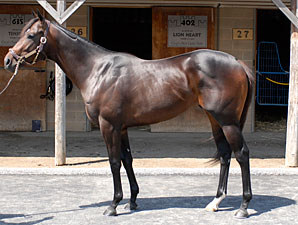 Gross Drops 19.2% at F-T Midlantic Sale Gross Drops 19.2% at F-T Midlantic Sale