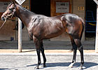Gross Drops 19.2% at F-T Midlantic Sale