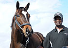 Looking Back: Reflecting on the F-T Fla. Sale Looking Back: Reflecting on the F-T Fla. Sale