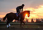 Slideshow: The Florida Sale