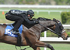Empire Maker Filly Among F-T Sale Standouts