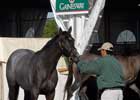 Consignors, Fasig-Tipton See Strong Midlantic Sale