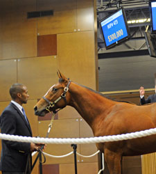 Median Plunges 38.9% at F-T Midlantic Sale Median Plunges 38.9% at F-T Midlantic Sale