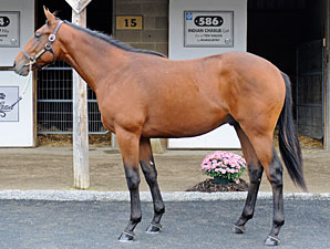 Gross, Average Rise at F-T Midlantic Sale Gross, Average Rise at F-T Midlantic Sale