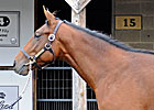 Gross, Average Rise at F-T Midlantic Sale Gross, Average Rise at F-T Midlantic Sale