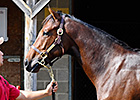 Figures Decline at F-T Midlantic Fall Sale Figures Decline at F-T Midlantic Fall Sale