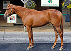 F-T Midlantic Sale Has Mixed Results F-T Midlantic Sale Has Mixed Results