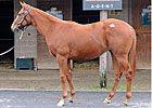 F-T Midlantic Sale Opens With Increases F-T Midlantic Sale Opens With Increases