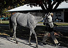 Confidence High at FT November Sale