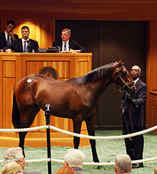 F-T NY-Bred Sale Posts Across-the-Board Gains F-T NY-Bred Sale Posts Across-the-Board Gains