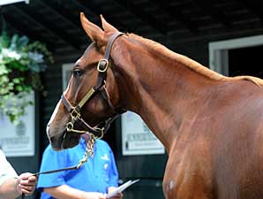 NY-Bred Sale Finishes Strong, Avg. Up 5% NY-Bred Sale Finishes Strong, Avg. Up 5%