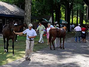 Average Up, Buy-Backs High for NY Sale Average Up, Buy-Backs High for NY Sale