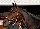 Maryfield a Deal at $1,250,000 at Fasig-Tipton