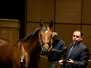 Fasig-Tipton Mixed Sale Average Down Fasig-Tipton Mixed Sale Average Down