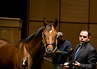 Fasig-Tipton Mixed Sale Average Down Fasig-Tipton Mixed Sale Average Down