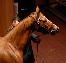 Indy Five Hundred Brings $3 Million at Fasig-Tipton Indy Five Hundred Brings $3 Million at Fasig-Tipton