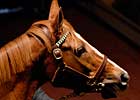 Indy Five Hundred Brings $3 Million at Fasig-Tipton
