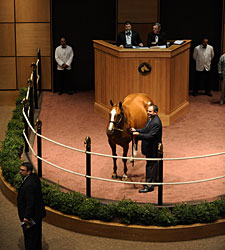 Market Surges at F-T November Mixed Sale Market Surges at F-T November Mixed Sale