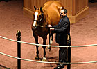 Market Surges at F-T November Mixed Sale Market Surges at F-T November Mixed Sale