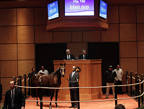 Smart Strike Filly New F-T Sale Topper Smart Strike Filly New F-T Sale Topper