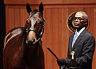 Fasig-Tipton October Sale a Record-Breaker Fasig-Tipton October Sale a Record-Breaker