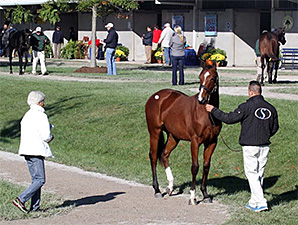 Yearlings to Watch at Fasig-Tipton October Yearlings to Watch at Fasig-Tipton October