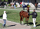 Yearlings to Watch at Fasig-Tipton October Yearlings to Watch at Fasig-Tipton October