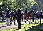 Friend Steps in for Injured F-T Oct Consignor Friend Steps in for Injured F-T Oct Consignor