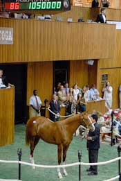 First Session of Saratoga Sale Generates Mixed Results First Session of Saratoga Sale Generates Mixed Results