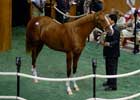 First Session of Saratoga Sale Generates Mixed Results First Session of Saratoga Sale Generates Mixed Results