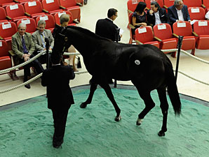 Gross Rises 45.6% at Saratoga Sale Gross Rises 45.6% at Saratoga Sale