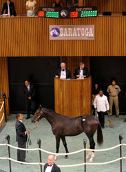 Average Up and Median Steady at Saratoga Average Up and Median Steady at Saratoga