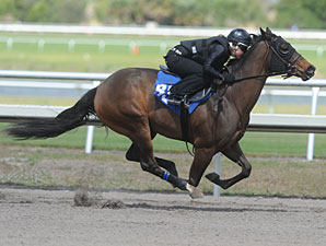 Times Sizzle in F-T Sale's Under Tack Show Times Sizzle in F-T Sale's Under Tack Show