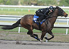 Times Sizzle in F-T Sale's Under Tack Show
