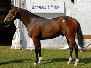 Buy-Back Rate Down at FT Midlantic Sale Buy-Back Rate Down at FT Midlantic Sale