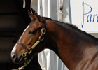 Buy-Back Rate Down at FT Midlantic Sale Buy-Back Rate Down at FT Midlantic Sale