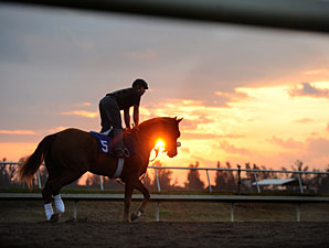Palm Meadows: F-T Sale's New Home Sweet Home Palm Meadows: F-T Sale's New Home Sweet Home