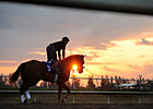 Palm Meadows: F-T Sale's New Home Sweet Home
