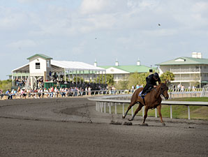 F-T Florida Sale: Optimism Is in the Air F-T Florida Sale: Optimism Is in the Air