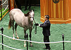 Tapit Filly Brings $1 Million at F-T Saratoga Tapit Filly Brings $1 Million at F-T Saratoga