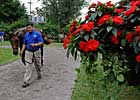 Blog: Small Catalog a Boost for Saratoga Sale