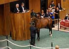 Strong Market Opens FT Saratoga Sale Strong Market Opens FT Saratoga Sale