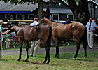 Saratoga Market Chatter: Stocks and Horses