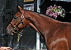 Bernardini Colt Goes for $1.2 Million